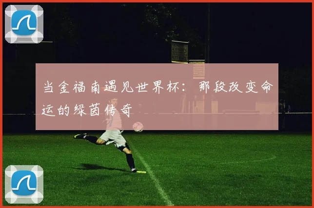 当金福南遇见世界杯：那段改变命运的绿茵传奇