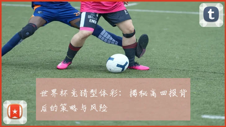 世界杯竞猜型体彩：揭秘高回报背后的策略与风险