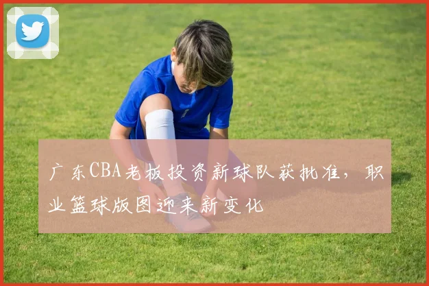 广东CBA老板投资新球队获批准，职业篮球版图迎来新变化