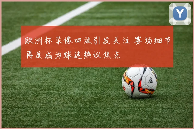 欧洲杯录像回放引发关注 赛场细节再度成为球迷热议焦点