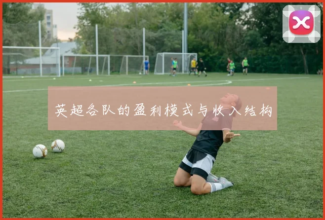 英超各队的盈利模式与收入结构