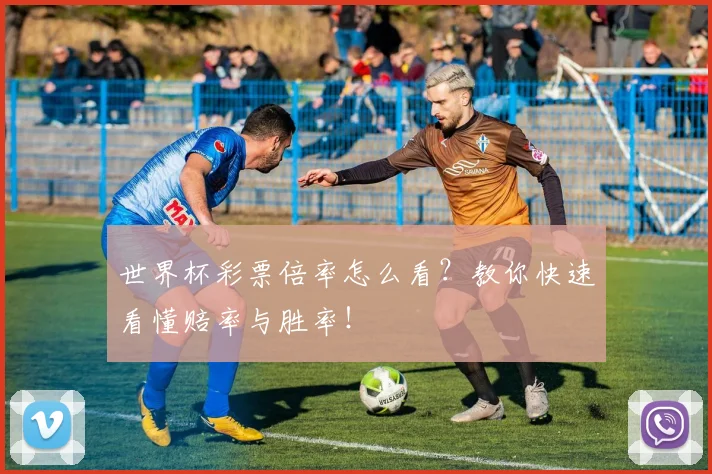 世界杯彩票倍率怎么看?教你快速看懂赔率与胜率!