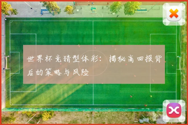 世界杯竞猜型体彩：揭秘高回报背后的策略与风险