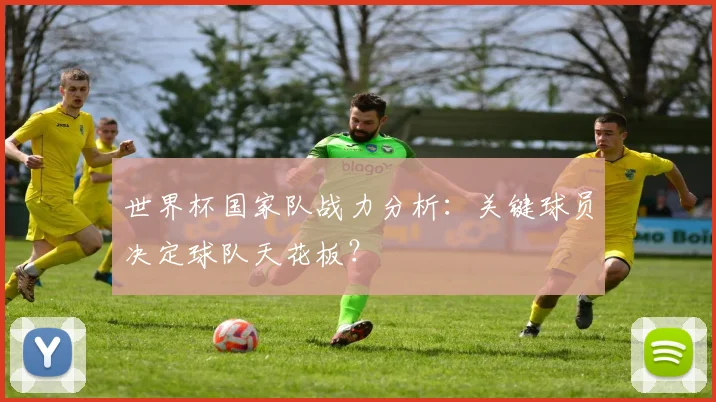世界杯国家队战力分析:关键球员决定球队天花板?