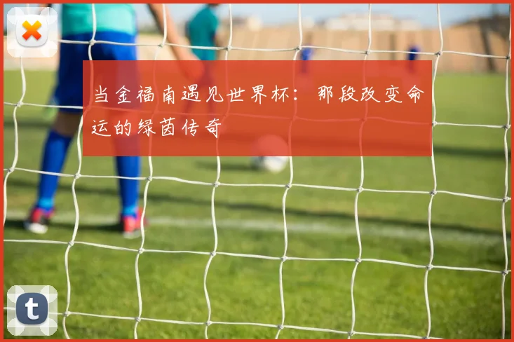当金福南遇见世界杯:那段改变命运的绿茵传奇