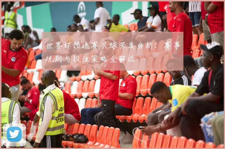 世界杯预选赛买球深度分析:赛事规则与投注策略全解读