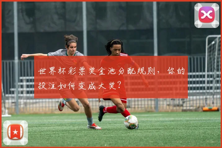 世界杯彩票奖金池分配规则,你的投注如何变成大奖?