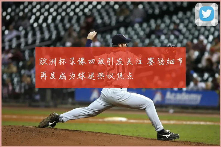 欧洲杯录像回放引发关注 赛场细节再度成为球迷热议焦点