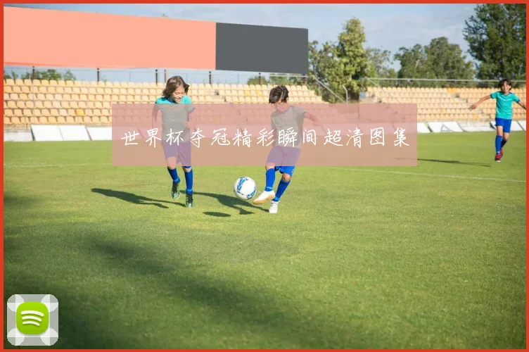 世界杯夺冠精彩瞬间超清图集
