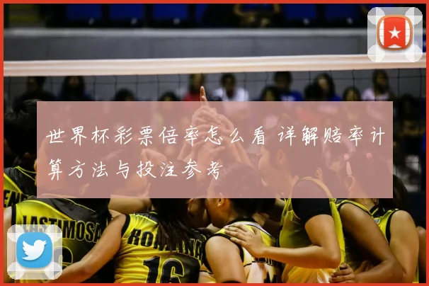 世界杯彩票倍率怎么看 详解赔率计算方法与投注参考