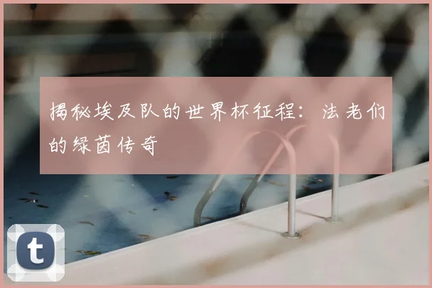 揭秘埃及队的世界杯征程:法老们的绿茵传奇