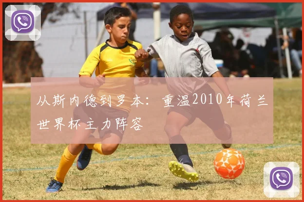 从斯内德到罗本：重温2010年荷兰世界杯主力阵容