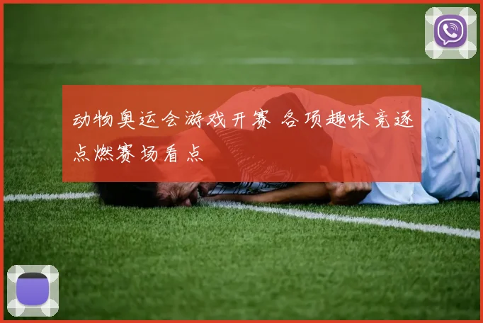 动物奥运会游戏开赛 各项趣味竞逐点燃赛场看点