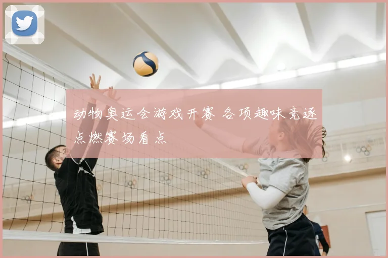 动物奥运会游戏开赛 各项趣味竞逐点燃赛场看点